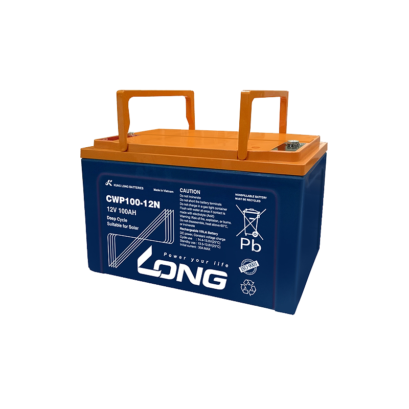 Batteria Long CWP100-12N | bateriasencasa.com