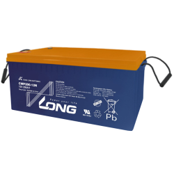 Batterie Long CWP200-12N | bateriasencasa.com