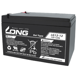 Batterie Long LG12-12 | bateriasencasa.com
