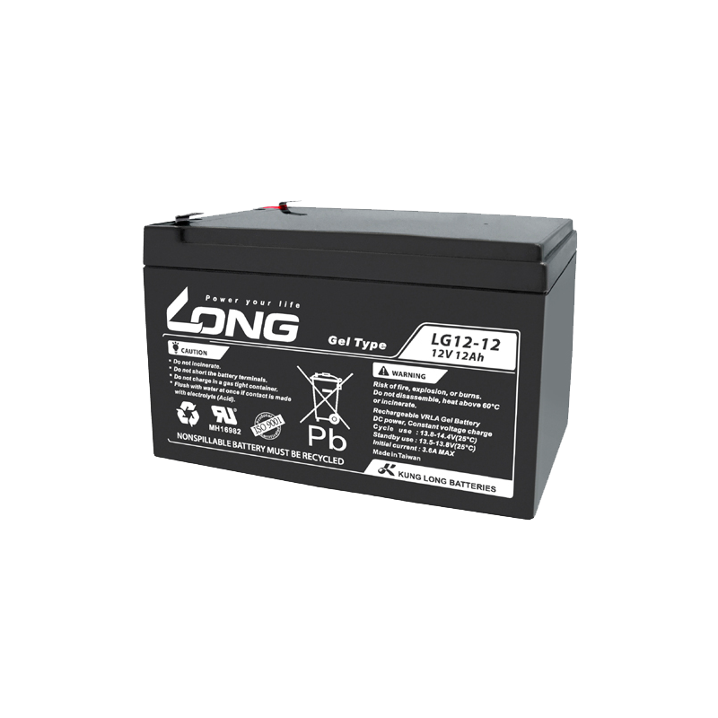 Batterie Long LG12-12 | bateriasencasa.com