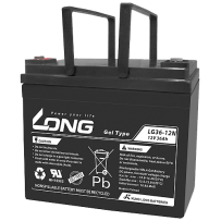 Batterie Long LG36-12N | bateriasencasa.com