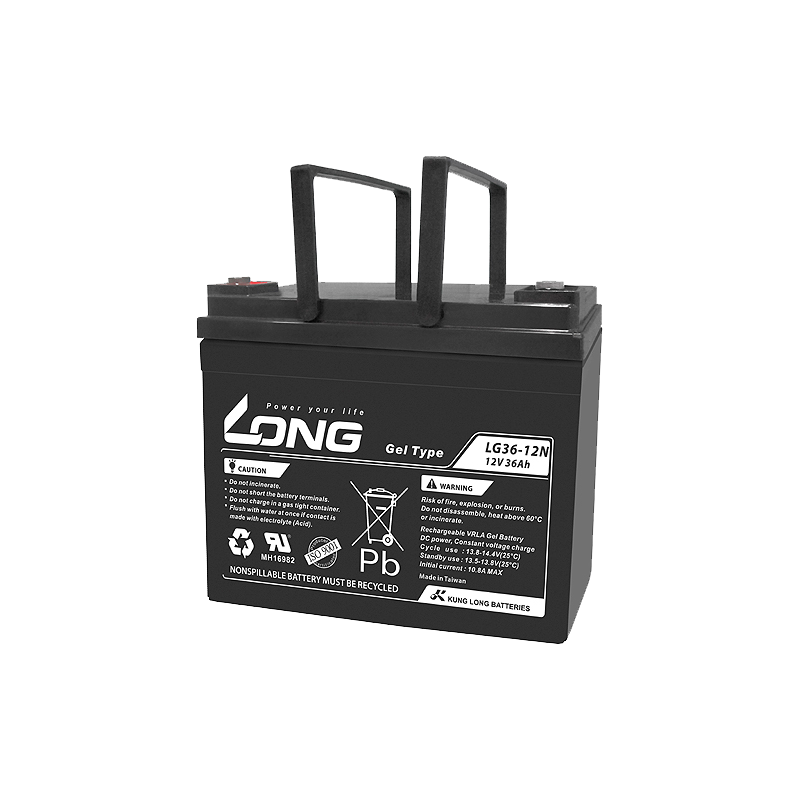 Batería Long LG36-12N | bateriasencasa.com