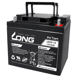 Batterie Long LG45-12 | bateriasencasa.com