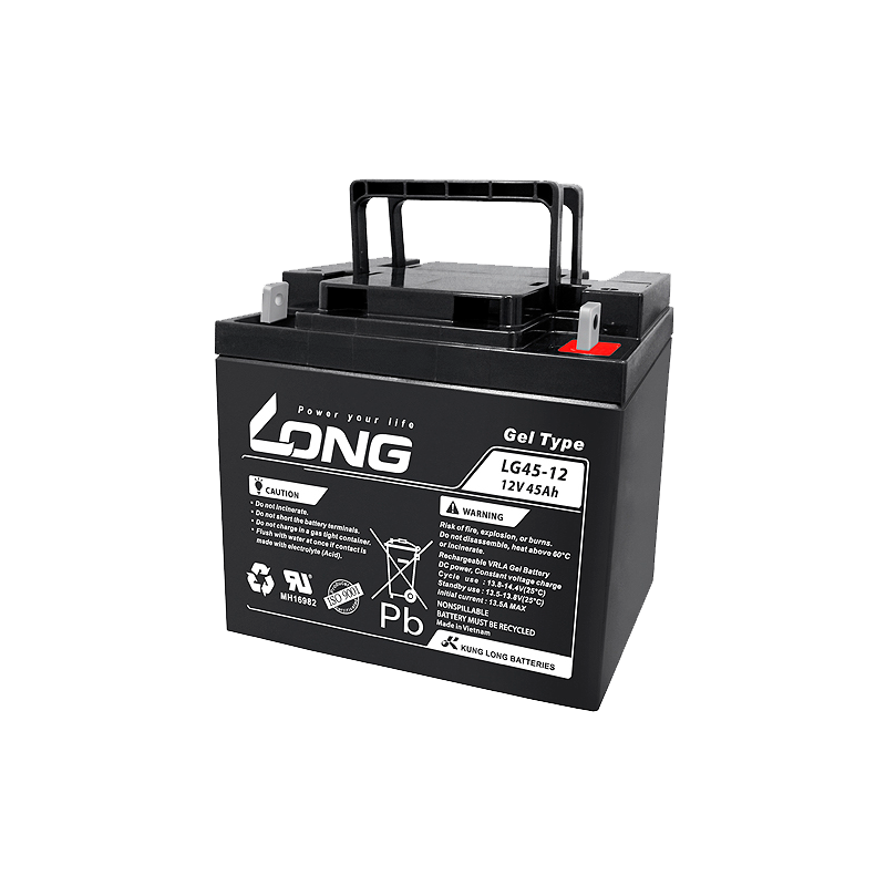 Batterie Long LG45-12 | bateriasencasa.com