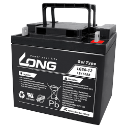 Batterie Long LG50-12 | bateriasencasa.com