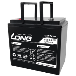 Batterie Long LG55-12N | bateriasencasa.com