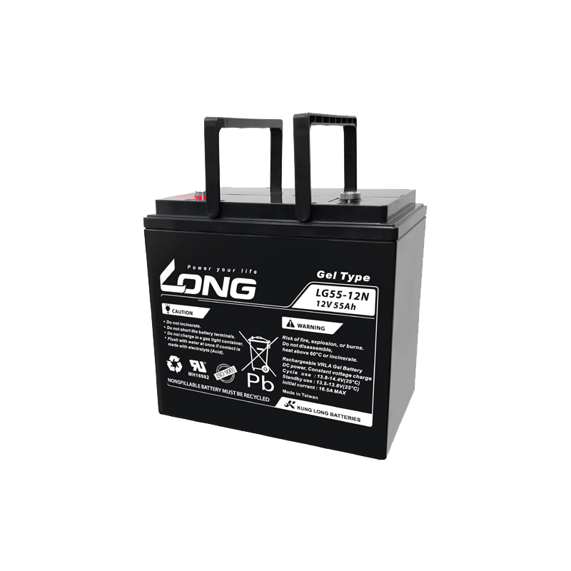 Bateria Long LG55-12N | bateriasencasa.com