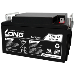 Batterie Long LG65-12 | bateriasencasa.com