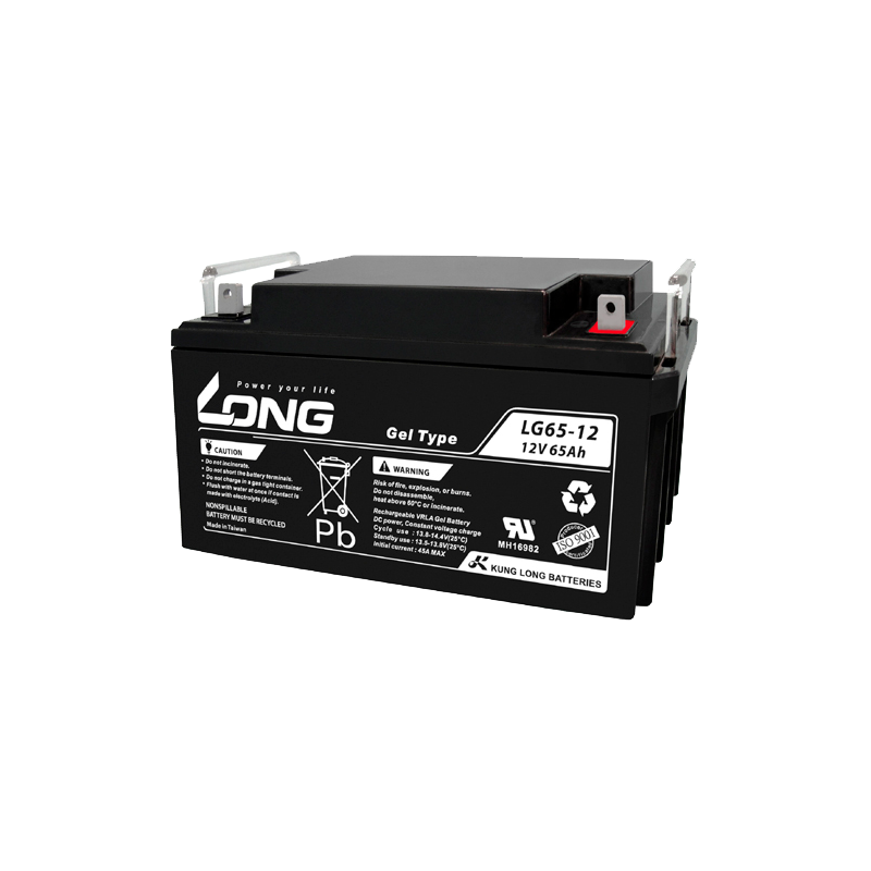 Bateria Long LG65-12 | bateriasencasa.com