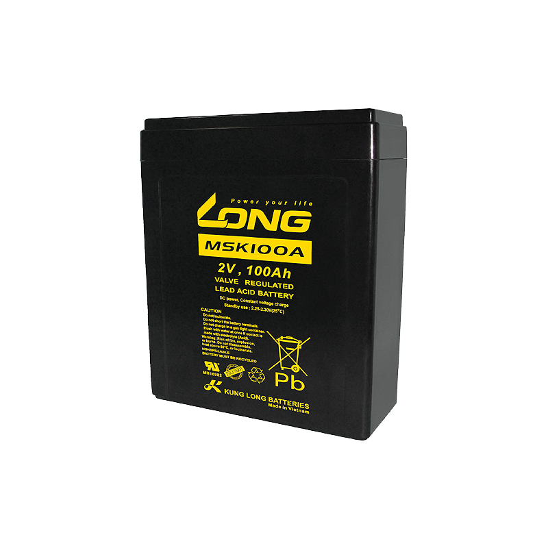 Batterie Long MSK100A | bateriasencasa.com