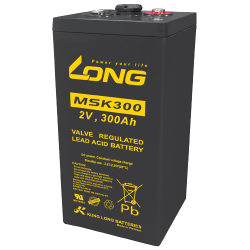 Batteria Long MSK300 | bateriasencasa.com