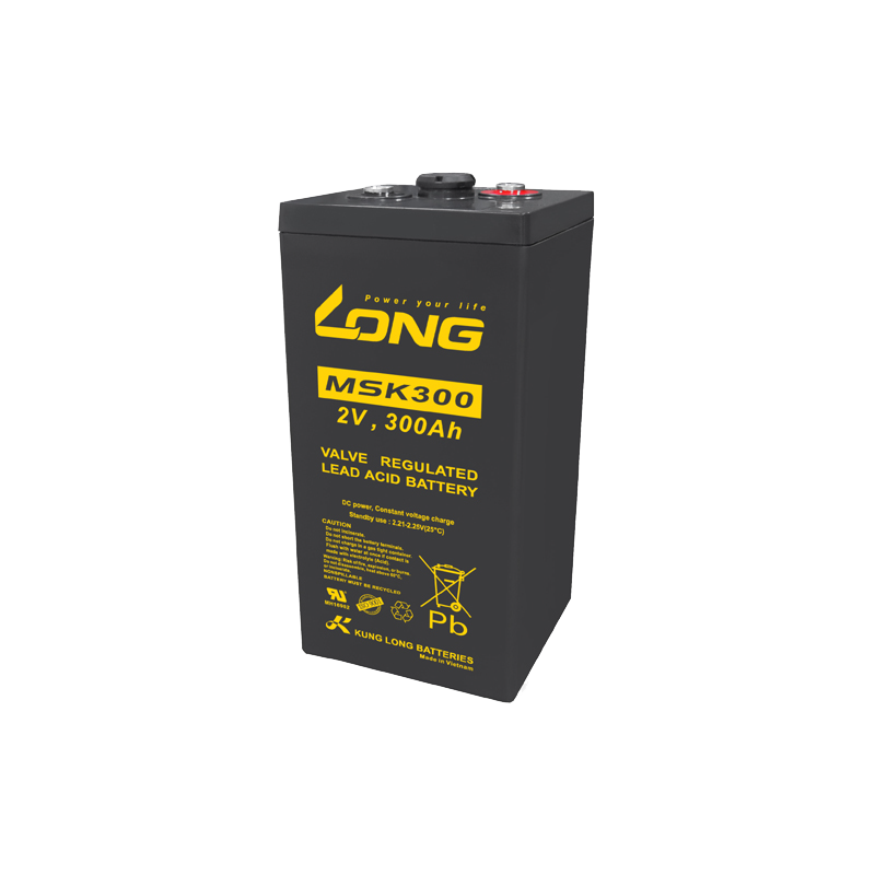 Batterie Long MSK300 | bateriasencasa.com