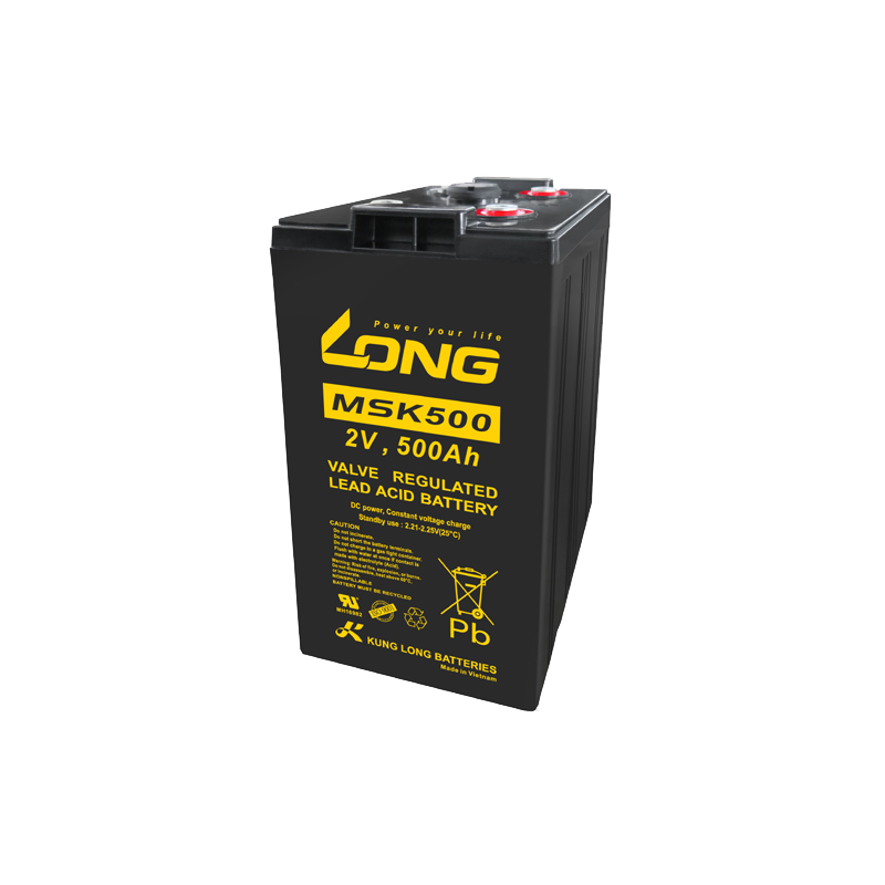 Batterie Long MSK500 | bateriasencasa.com