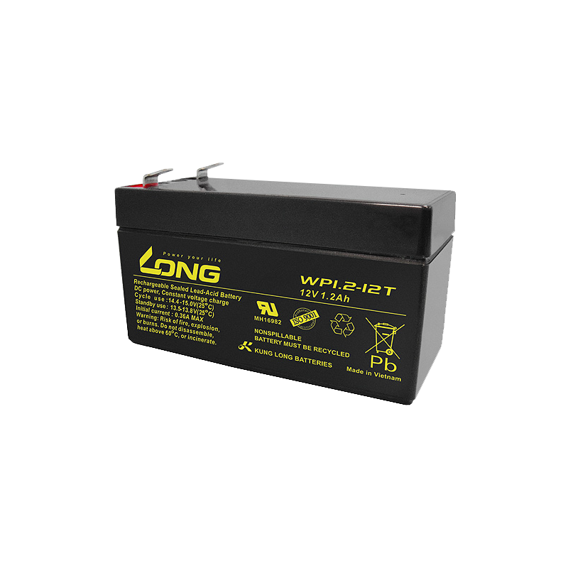 Batterie Long WP1.2-12T | bateriasencasa.com