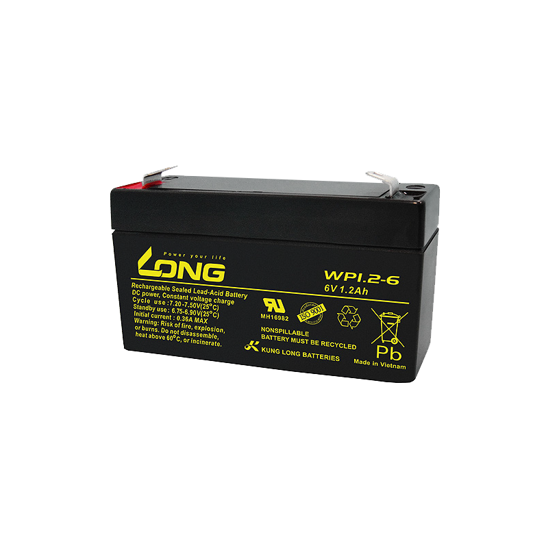 Long WP1.2-6 battery | bateriasencasa.com