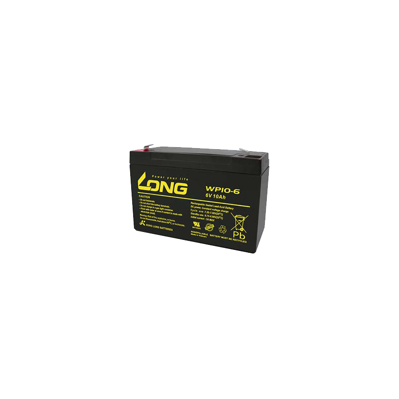 Batterie Long WP10-6 | bateriasencasa.com
