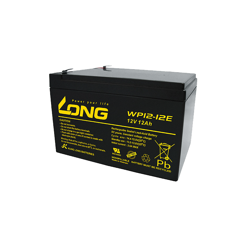 Batterie Long WP12-12E | bateriasencasa.com