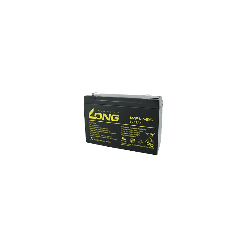 Long WP12-6S battery | bateriasencasa.com