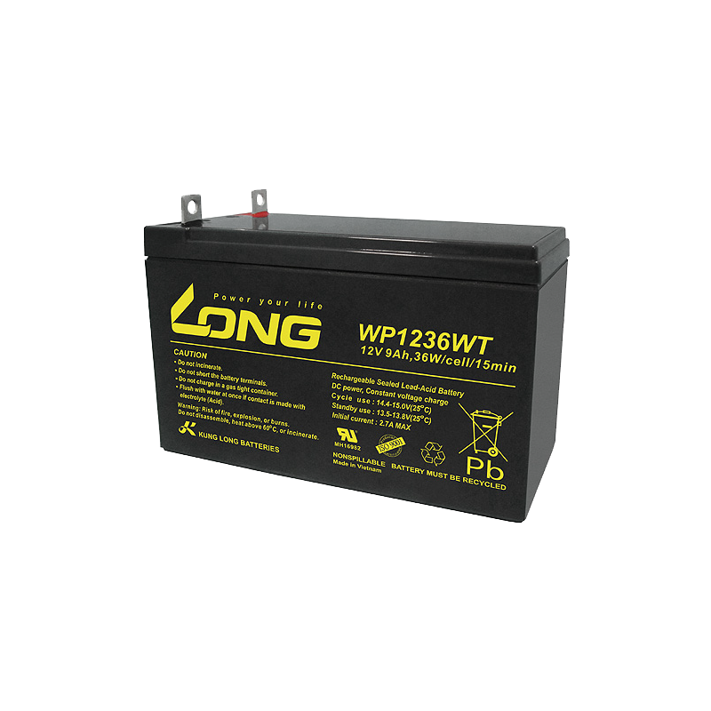 Long WP1236WT battery | bateriasencasa.com