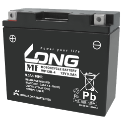 Batterie Long WP12B-4 | bateriasencasa.com