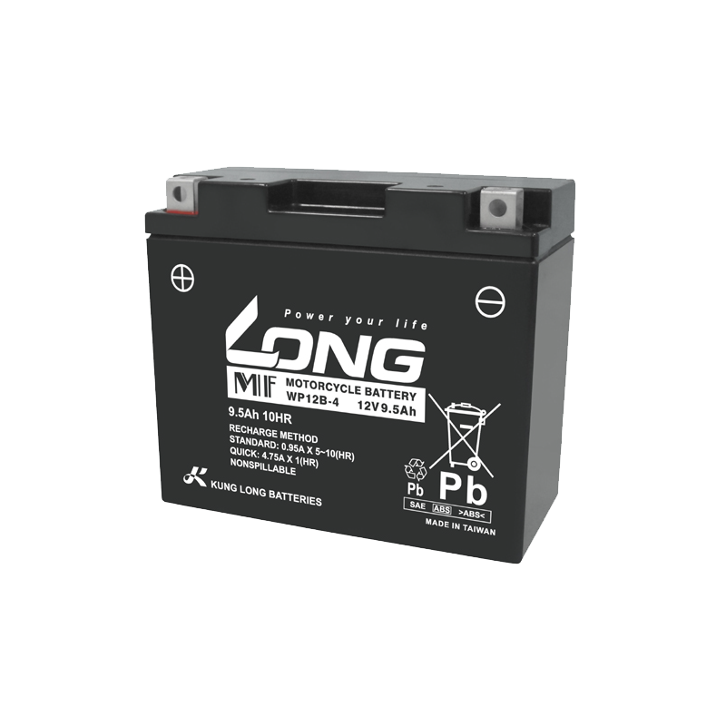 Batterie Long WP12B-4 | bateriasencasa.com