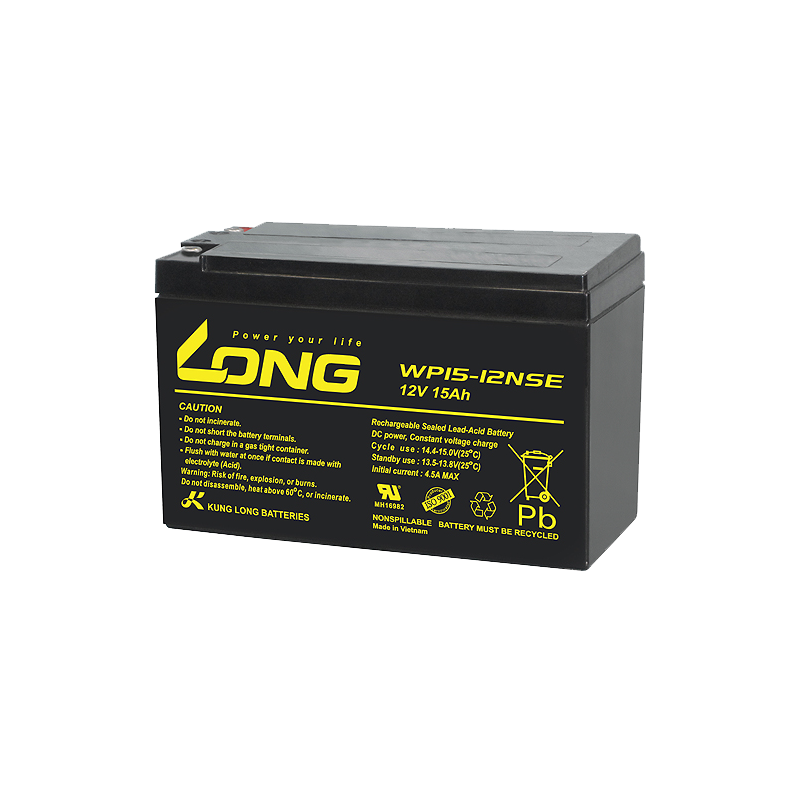 Batterie Long WP15-12NSE | bateriasencasa.com