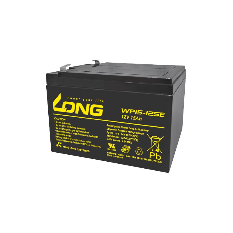 Batterie Long WP15-12SE | bateriasencasa.com