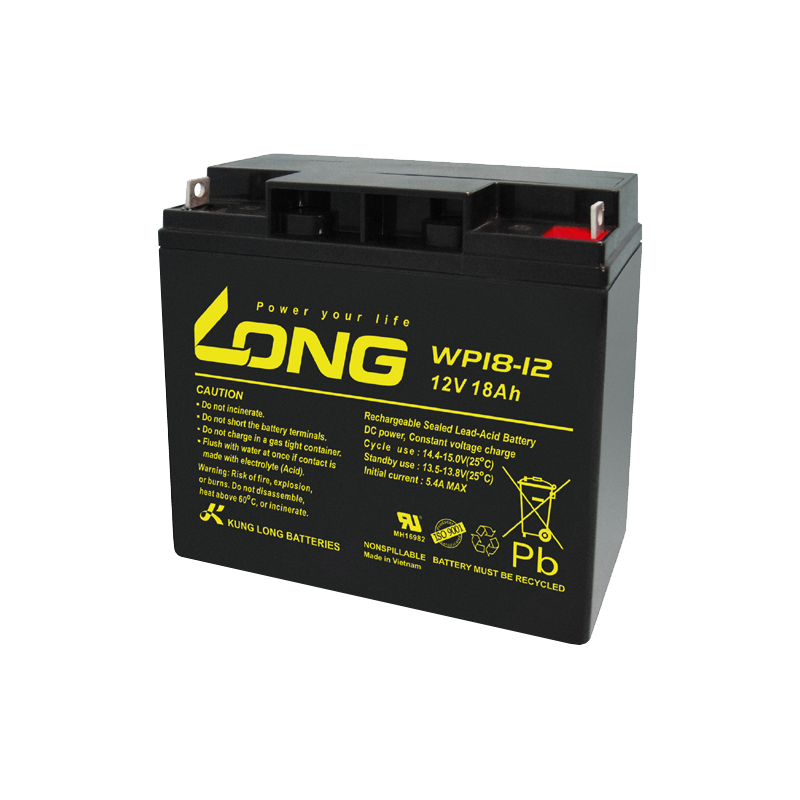 Batterie Long WP18-12 | bateriasencasa.com