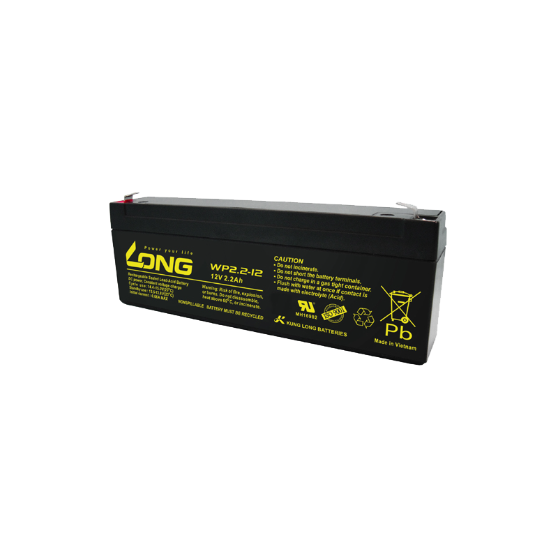 Batterie Long WP2.2-12 | bateriasencasa.com