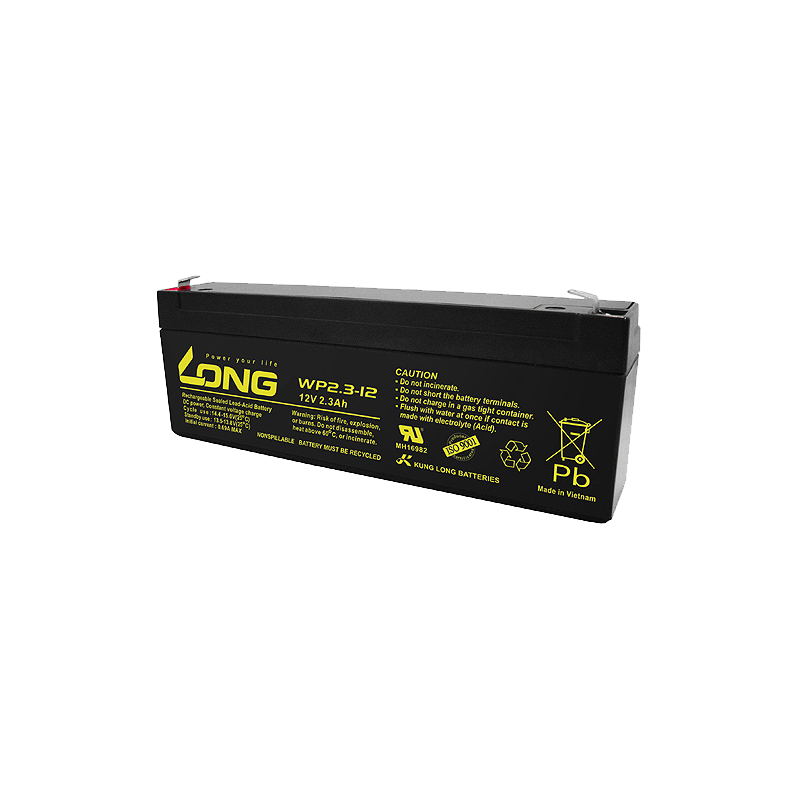 Batterie Long WP2.3-12 | bateriasencasa.com
