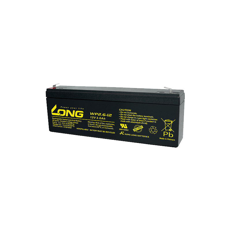 Batteria Long WP2.6-12 | bateriasencasa.com