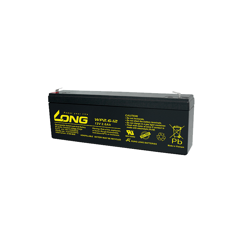 Long WP2.6-12 battery | bateriasencasa.com