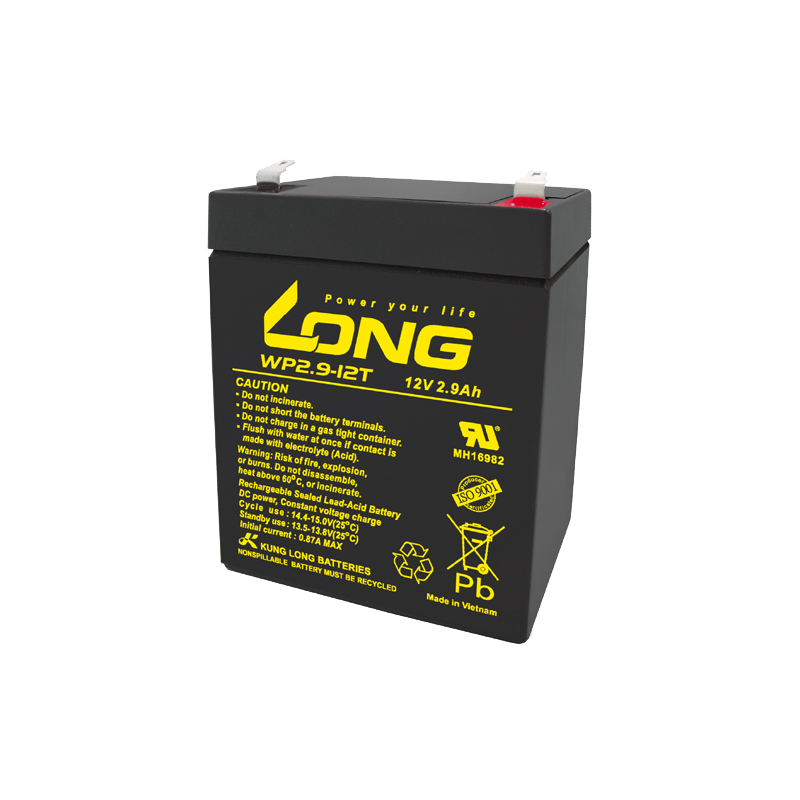 Batterie Long WP2.9-12T | bateriasencasa.com