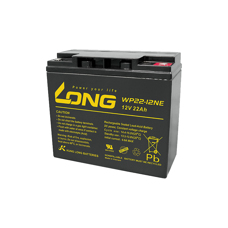 Long WP22-12NE battery | bateriasencasa.com