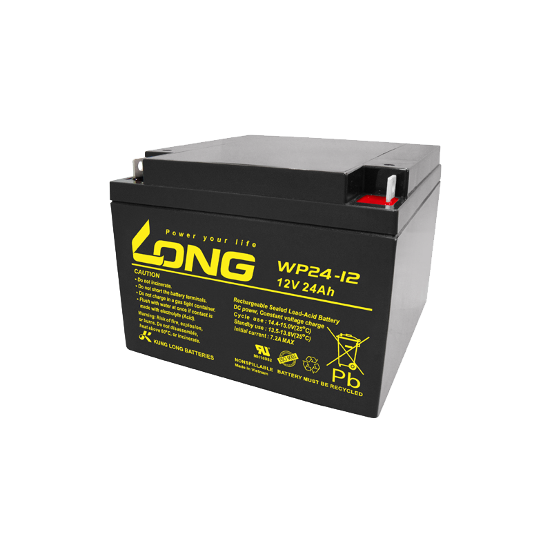 Batterie Long WP24-12 | bateriasencasa.com