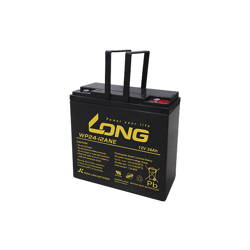 Batteria Long WP24-12ANE | bateriasencasa.com