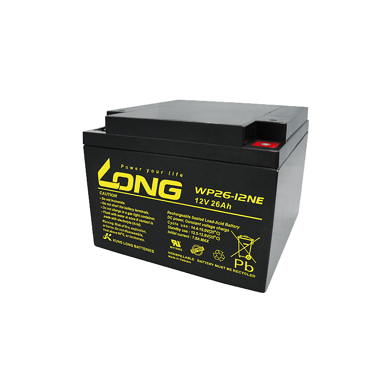 Batterie Long WP26-12NE | bateriasencasa.com