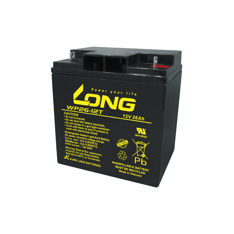 Batterie Long WP26-12T | bateriasencasa.com