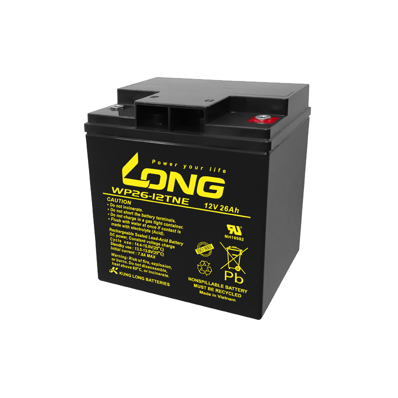 Batterie Long WP26-12TNE | bateriasencasa.com