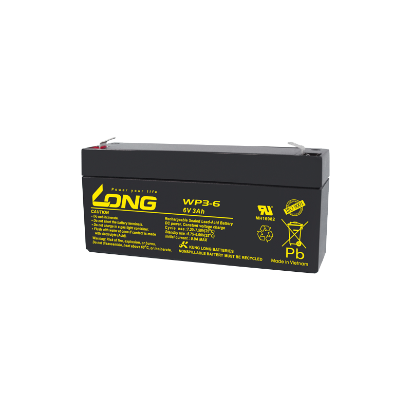 Batterie Long WP3-6 | bateriasencasa.com