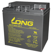Long WP30-12T battery | bateriasencasa.com