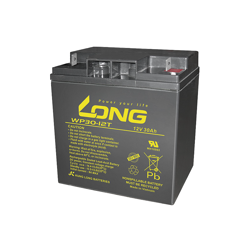 Batterie Long WP30-12T | bateriasencasa.com