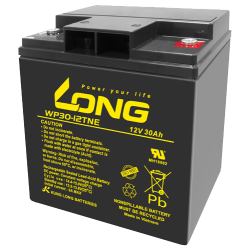 Batteria Long WP30-12TNE | bateriasencasa.com