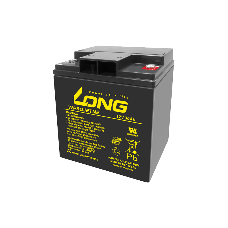 Batteria Long WP30-12TNE | bateriasencasa.com