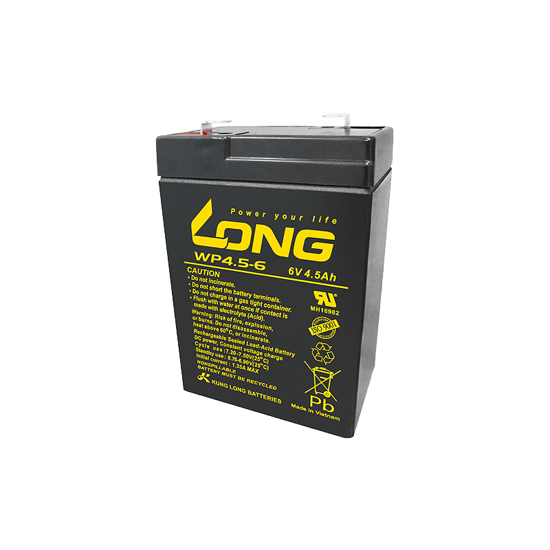 Batterie Long WP4.5-6 | bateriasencasa.com