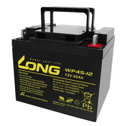 Batterie Long WP45-12 | bateriasencasa.com
