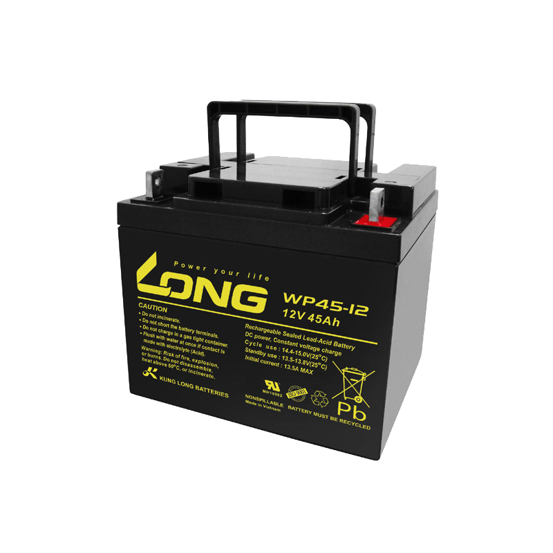 Long WP45-12 battery | bateriasencasa.com