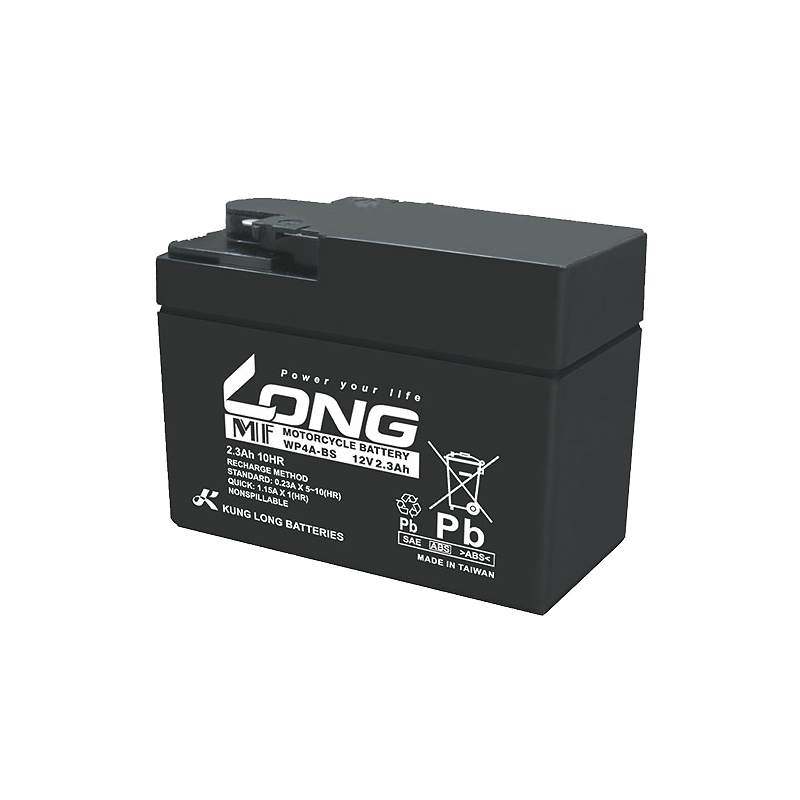 Batterie Long WP4A-BS | bateriasencasa.com