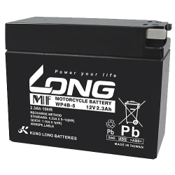 Batterie Long WP4B-5 | bateriasencasa.com