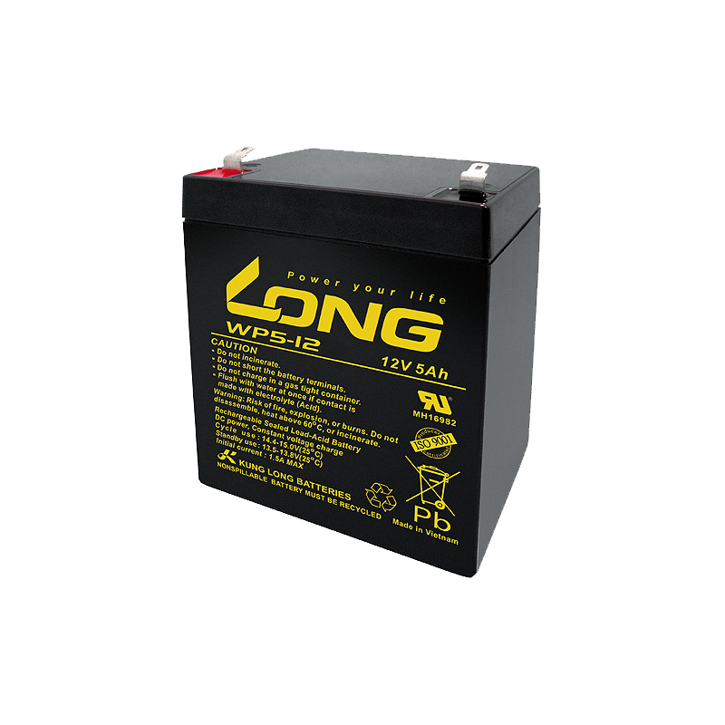 Batterie Long WP5-12 | bateriasencasa.com